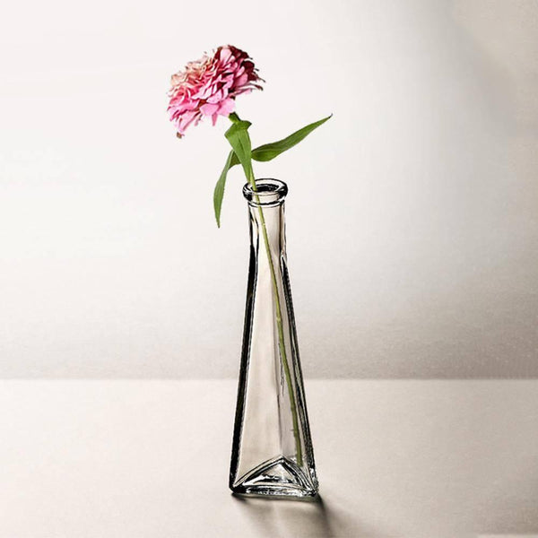 Simple Clear Glass Vase Ornament - Eunaliving