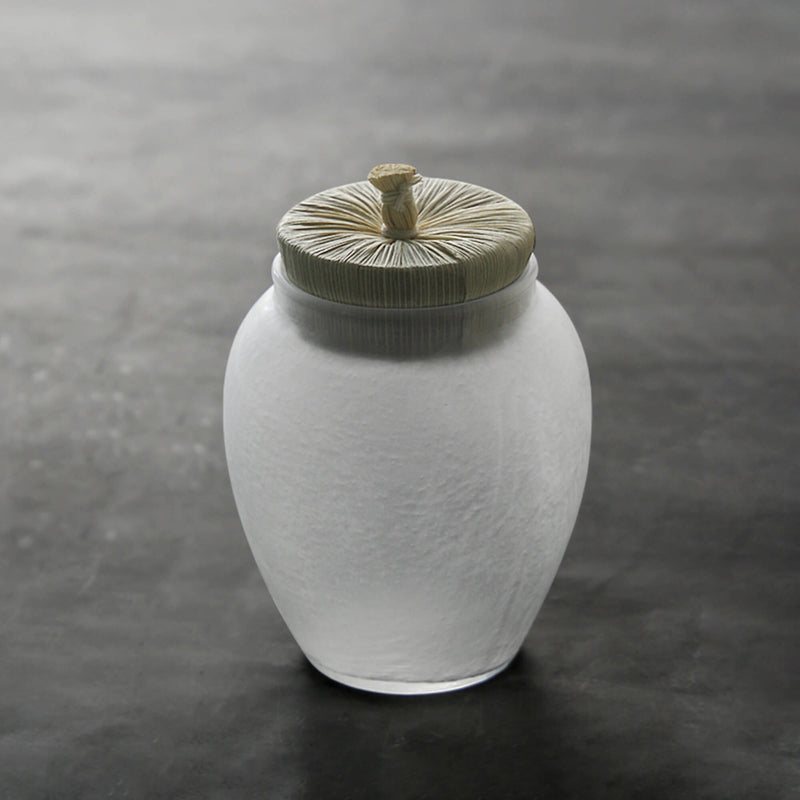 Japanese Style Glazed Tea Pot