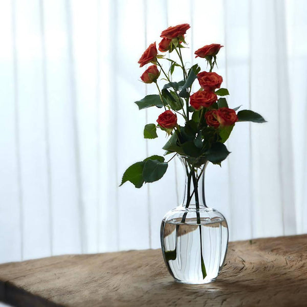 Japanese Aesthetic Elegant Glass Vase - Eunaliving