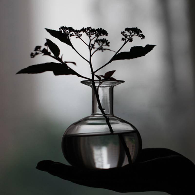 Mini transparent hydroponic glass vase - Eunaliving