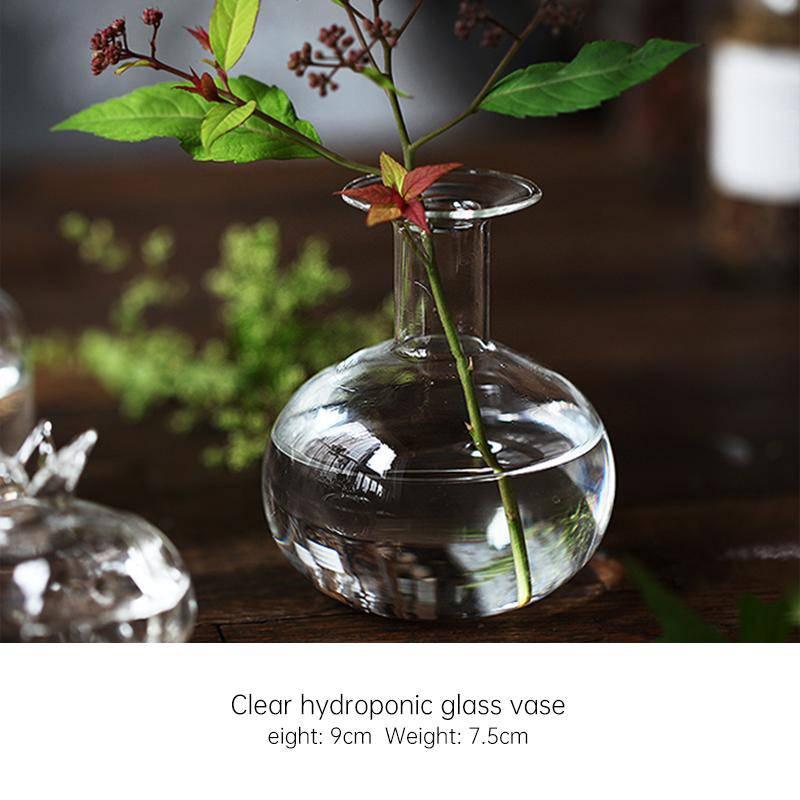Mini transparent hydroponic glass vase - Eunaliving