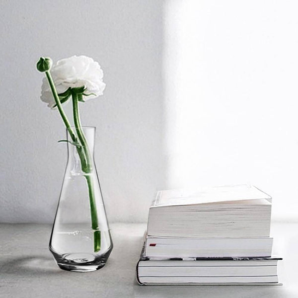 Simple Hydroponic Clear Delicate Glass Vase - Eunaliving