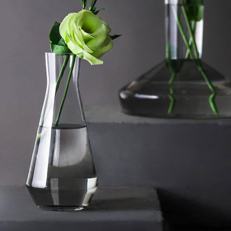 Simple Hydroponic Clear Delicate Glass Vase - Eunaliving